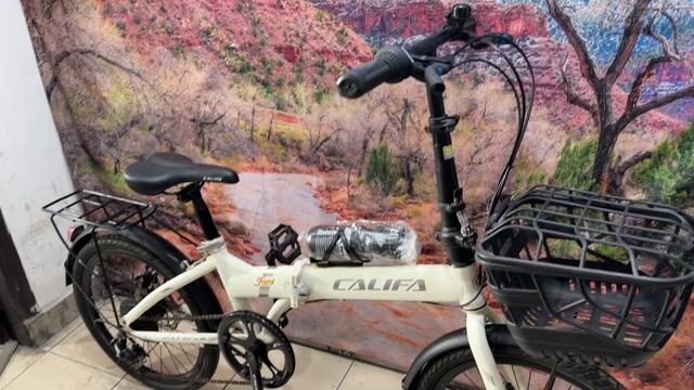 Xe đạp gấp CALIFA 20 inch Trắng. Mua bán Xe đạp tại Quận Tân Bình Tp Hồ Chí Minh được đăng bởi Bbb hình 1