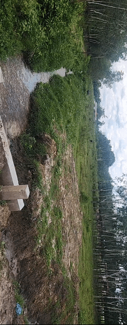 Mua bán Đất Huyện Dầu Tiếng Bình Dương diện tích 3214 m² giá 7 tỷ