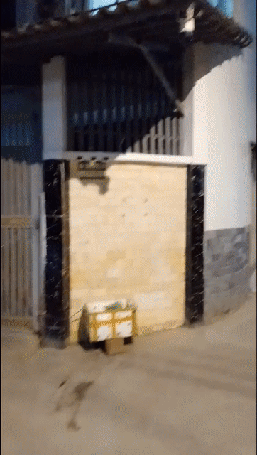Cho thuê Nhà ở Huyện Nhà Bè Tp Hồ Chí Minh diện tích 50 m² giá 8 triệu/tháng