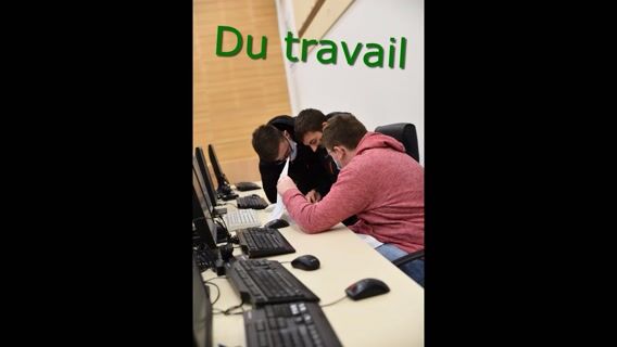 Bac pro Poissonnier Ecailler Traiteur De la mer à l'assiette