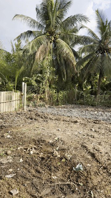 Mua bán Đất Thành phố Mỹ Tho Tiền Giang diện tích 363 m² giá 890 triệu