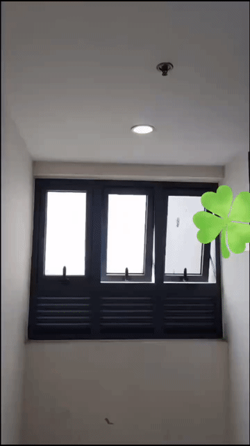 Cho thuê Căn hộ Chung cư Green River - Quận 8 Quận 8 Tp Hồ Chí Minh diện tích 80 m² giá 13 triệu/tháng
