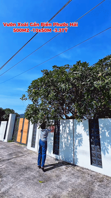 Mua bán Đất Huyện Đất Đỏ Bà Rịa - Vũng Tàu diện tích 500 m² giá 3,3 tỷ