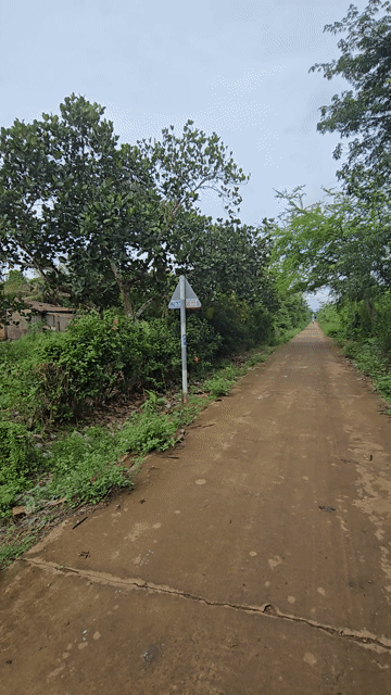 Mua bán Đất Huyện Cẩm Mỹ Đồng Nai diện tích 3000 m² giá 2,5 tỷ