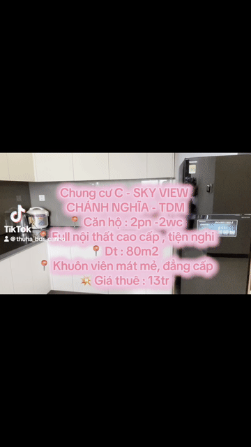 Cho thuê Căn hộ Chung cư C SkyView Thành phố Thủ Dầu Một Bình Dương diện tích 80 m² giá 13 triệu/tháng
