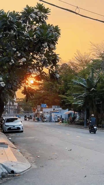 Mua bán Nhà ở Quận Bình Tân Tp Hồ Chí Minh diện tích 112.5 m² giá 14,2 tỷ