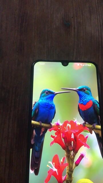 Samsung Galaxy A30 Đen Đã qua sử dụng. Mua bán Điện thoại tại Huyện Đơn Dương Lâm Đồng được đăng bởi Lỳ hình 1