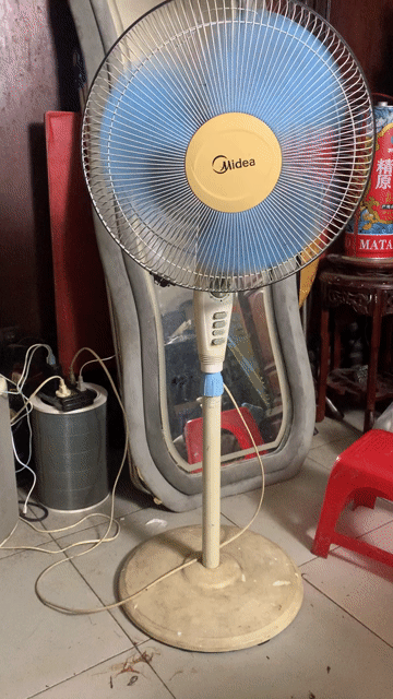 Quạt cây Midea FS40-8E Trắng, Xanh, Vàng. Mua bán Quạt tại Quận Đống Đa Hà Nội được đăng bởi BảoAnh hình 1