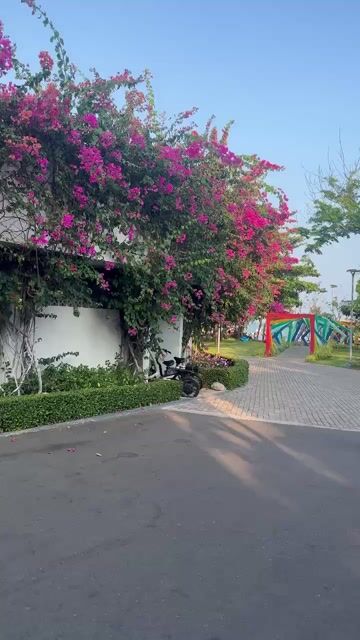 Oceanami –nơi để sống chậm,để nạp lại năng lượng. Du lịch tại Huyện Đất Đỏ Bà Rịa - Vũng Tàu được đăng bởi Hạnh  hình 1