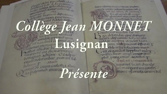 Cécile Voyer, Enseignante chercheuse