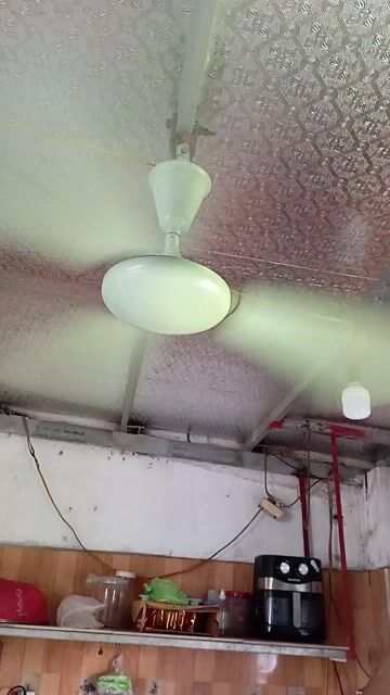 Quạt trần Xanh lá nhạt. Mua bán Quạt tại Huyện Đông Hưng Thái Bình được đăng bởi Nguyên văn đức hình 1
