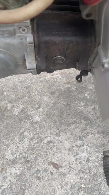 Honda DH88 màu Đỏ 9c. Mua bán Xe máy tại Huyện Bình Chánh Tp Hồ Chí Minh được đăng bởi Ms Nga hình 1