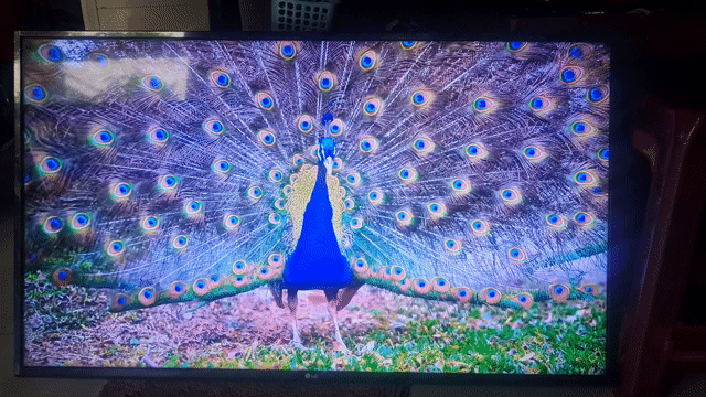 Tivi LG 43 inch 4K chuột bay giọng nói chuẩn. Mua bán Tivi, Âm thanh tại Thành phố Thủ Đức Tp Hồ Chí Minh được đăng bởi Điện Tử Lê Hoà  hình 1