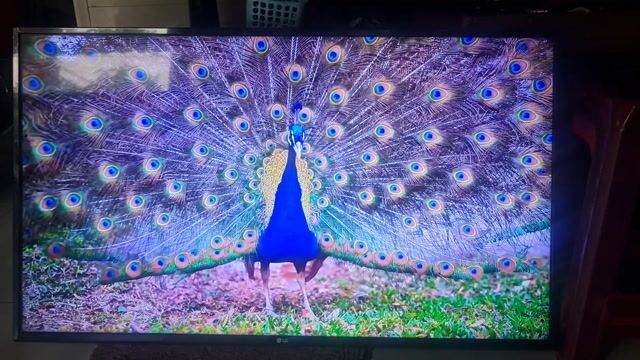 Tivi LG 43 inch 4K chuột bay giọng nói chuẩn. Mua bán Tivi, Âm thanh tại Thành phố Thủ Đức Tp Hồ Chí Minh được đăng bởi Điện Tử Lê Hoà  hình 1