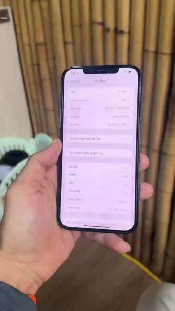 Apple iPhone 12 Pro Max 512GB Xanh. Mua bán Điện thoại tại Huyện Hoài Đức Hà Nội được đăng bởi trần anh hình 1