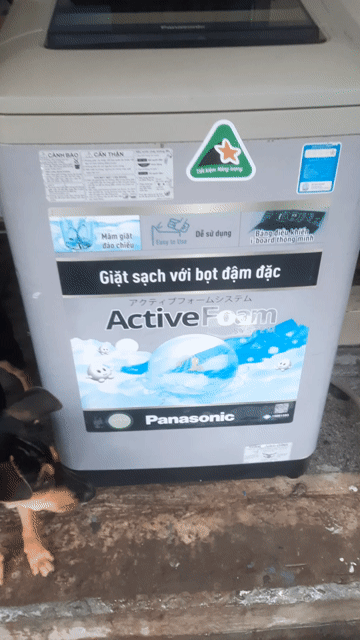 Máy giặt Panasonic 9kg cửa trên Xám. Mua bán Máy giặt tại Thành phố Thuận An Bình Dương được đăng bởi Anh tuấn hình 1