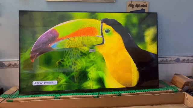 Tivi TCL 55" đởi 2023 chạy Google TV remote nói. Mua bán Tivi, Âm thanh tại Thành phố Buôn Ma Thuột Đắk Lắk được đăng bởi Thanh Dat Tivi 79 hình 1