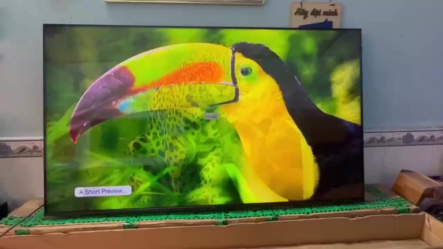 Tivi TCL 55" đởi 2023 chạy Google TV remote nói. Mua bán Tivi, Âm thanh tại Thành phố Buôn Ma Thuột Đắk Lắk được đăng bởi Thanh Dat Tivi 79 hình 1