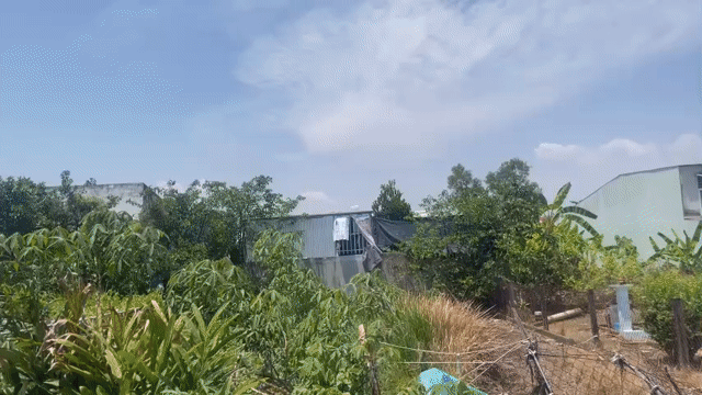 Mua bán Đất Huyện Nhơn Trạch Đồng Nai diện tích 301.8999 m² giá 5,6 tỷ