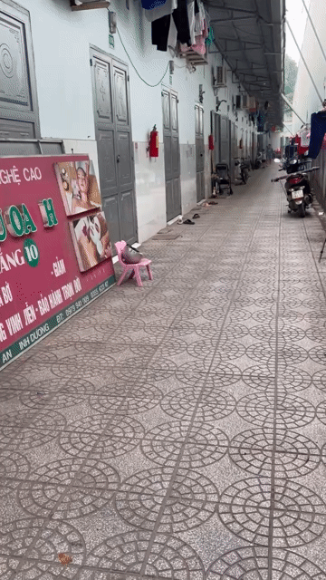Mua bán Nhà ở Thành phố Thuận An Bình Dương diện tích 773 m² giá 16,2 tỷ