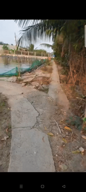 Mua bán Đất Huyện Tân Trụ Long An diện tích 4000 m² giá 1,4 tỷ