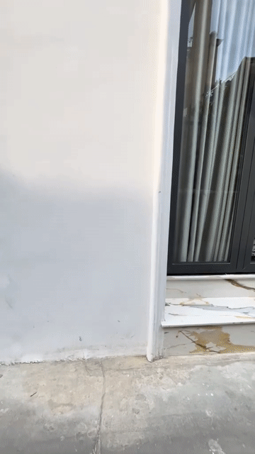 Mua bán Nhà ở Quận Tân Bình Tp Hồ Chí Minh diện tích 73 m² giá 6,6 tỷ