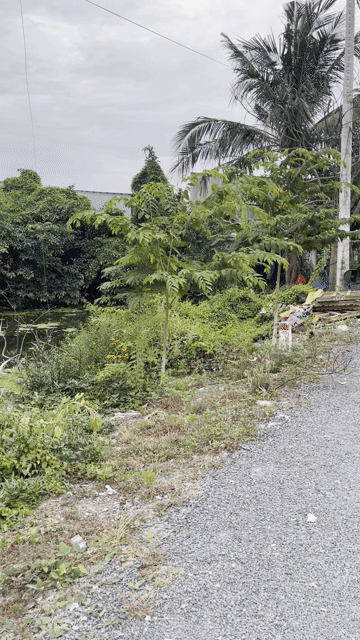 Mua bán Đất Huyện Bình Chánh Tp Hồ Chí Minh diện tích 409 m² giá 1,6 tỷ