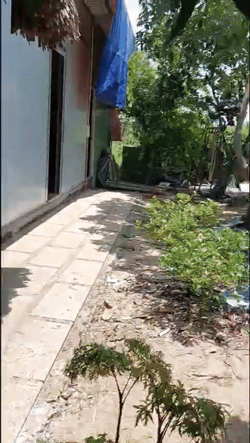 Mua bán Đất Huyện Củ Chi Tp Hồ Chí Minh diện tích 1000 m² giá 4,2 tỷ
