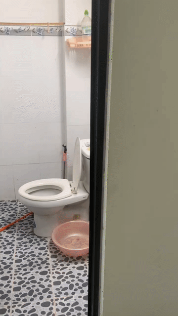 Cho thuê Phòng trọ Quận 8 Tp Hồ Chí Minh diện tích 52 m² giá 3,8 triệu/tháng