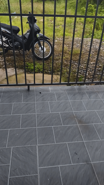 Cho thuê Phòng trọ Huyện Xuyên Mộc Bà Rịa - Vũng Tàu diện tích 50 m² giá 2,2 triệu/tháng