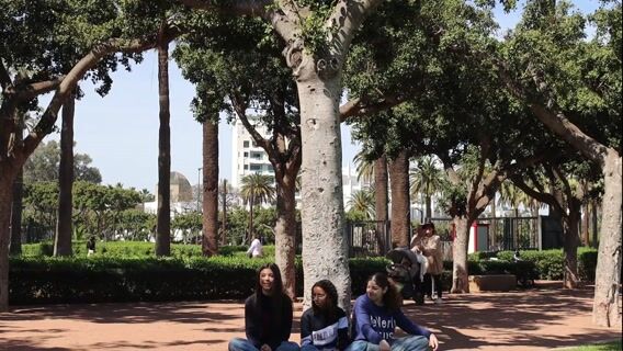 Un arbre pas comme les autres