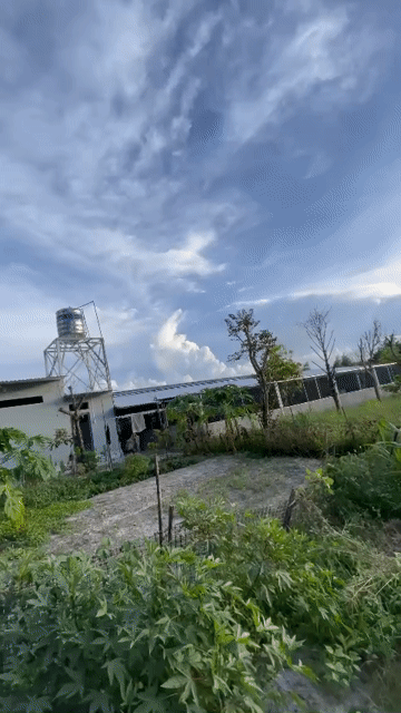 Mua bán Đất Huyện Chơn Thành Bình Phước diện tích 13164 m² giá 4,7 tỷ