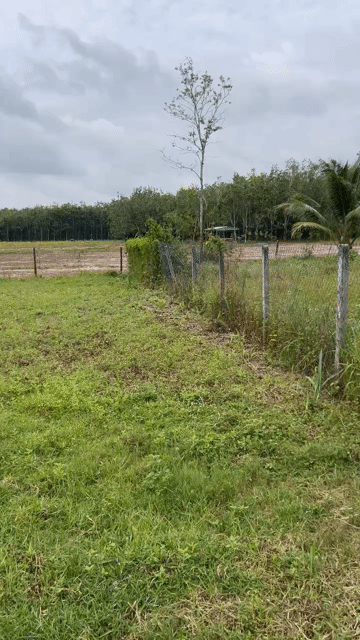 Mua bán Đất Huyện Châu Thành Tây Ninh diện tích 160 m² giá 220 triệu