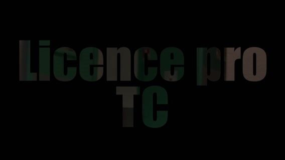 Licence professionnelle technico-commerciale