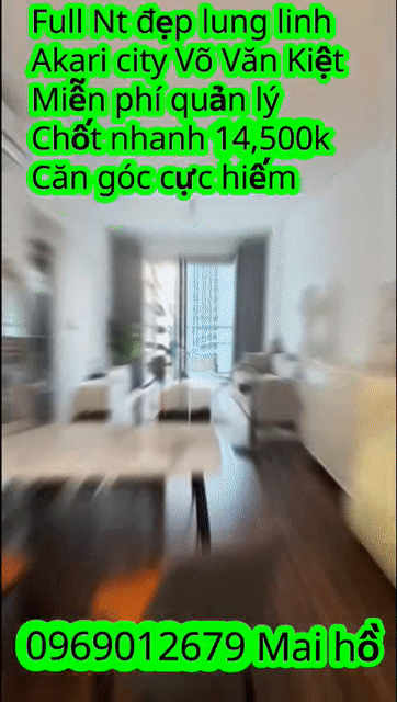 Cho thuê Căn hộ Chung cư Akari City Quận Bình Tân Tp Hồ Chí Minh diện tích 80 m² giá 14,5 triệu/tháng