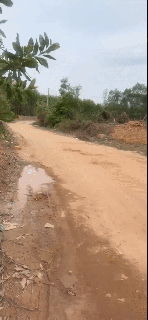 Mua bán Đất Thị xã Tân Uyên Bình Dương diện tích 4000 m² giá 16,5 tỷ
