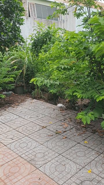 Mua bán Đất Venita Park (Verosa Park) Thành phố Thủ Đức Tp Hồ Chí Minh diện tích 216 m² giá 18,36 tỷ