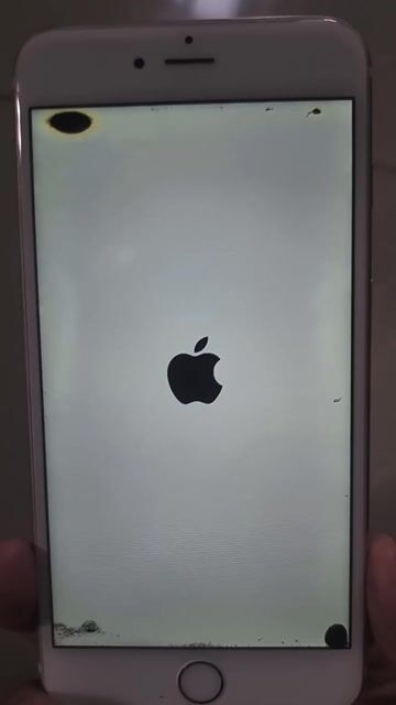 Rẻ hơn pin, 6S Plus Hồng Treo logo. Mua bán Điện thoại tại Thành phố Buôn Ma Thuột Đắk Lắk được đăng bởi Hoàng Quân Vương  hình 1