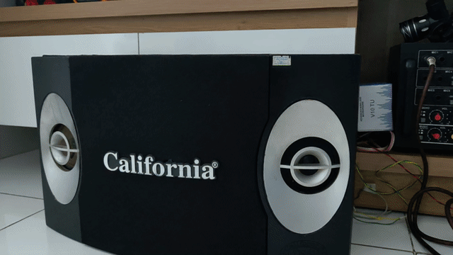 Loa karaoke California SP-555k II. Mua bán Tivi, Âm thanh tại Huyện Đông Anh Hà Nội được đăng bởi QUANG LINH ANH hình 1