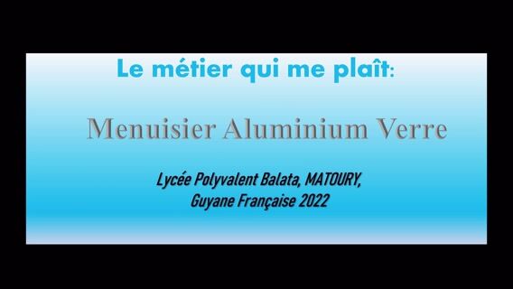 Lycée Balata section vitrage