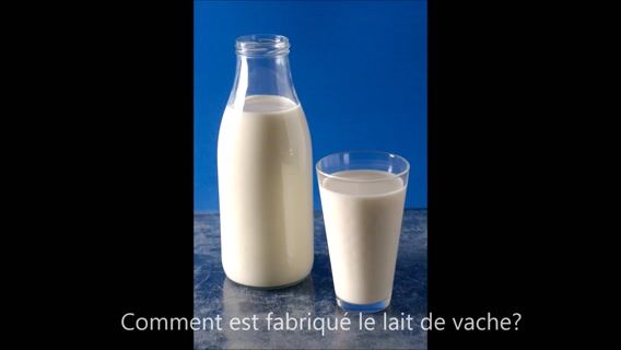 Éleveur de vaches laitières