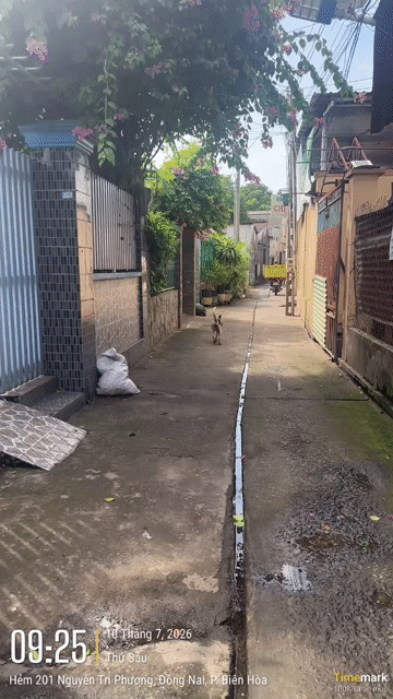 Mua bán Đất Thành phố Biên Hòa Đồng Nai diện tích 60 m² giá 1,5 tỷ
