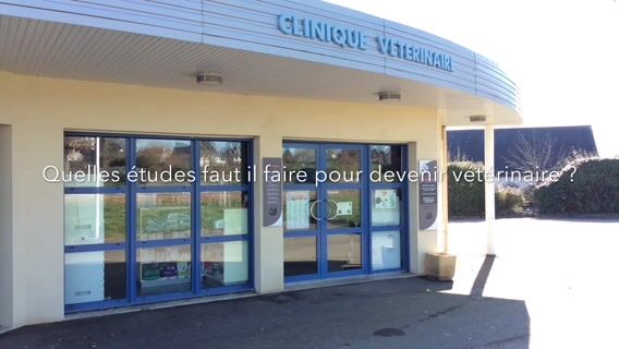 Vétérinaire, un métier de passion