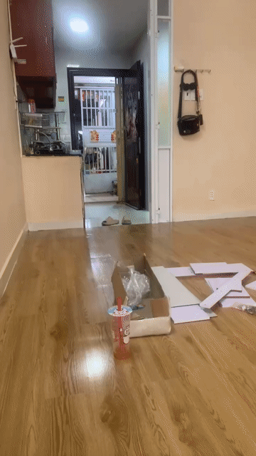 Cho thuê Căn hộ Chung cư Chung cư Tân Mỹ Quận 7 Tp Hồ Chí Minh diện tích 36 m² giá 5 triệu/tháng