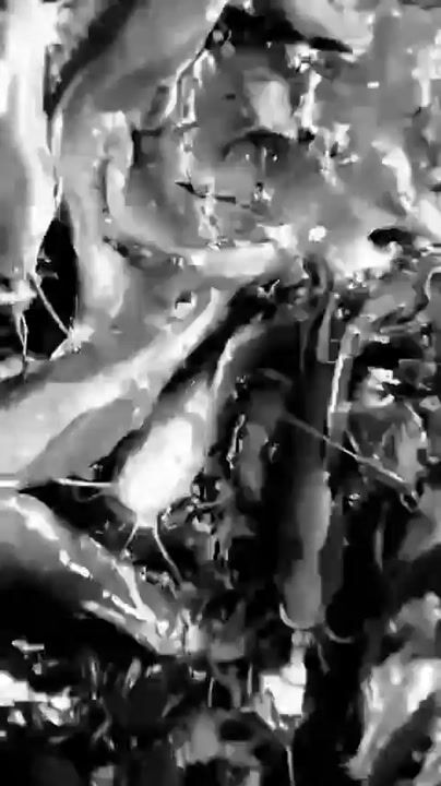Fish basins video thumbnail