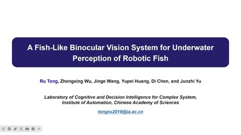 A Fish-like Binocular Vision System