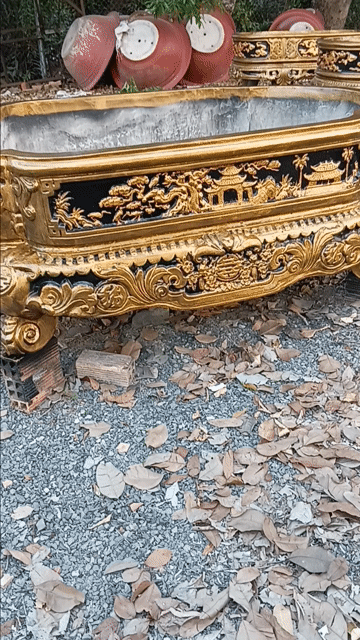 chậu chữ nhật, 1.2*1.6m. Mua bán Cây cảnh, đồ trang trí tại Huyện Cần Giuộc Long An được đăng bởi TUAN NGUYÊN  hình 1