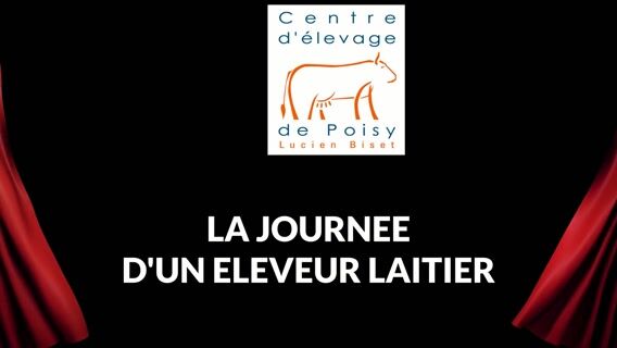 La journée d'un éleveur laitier