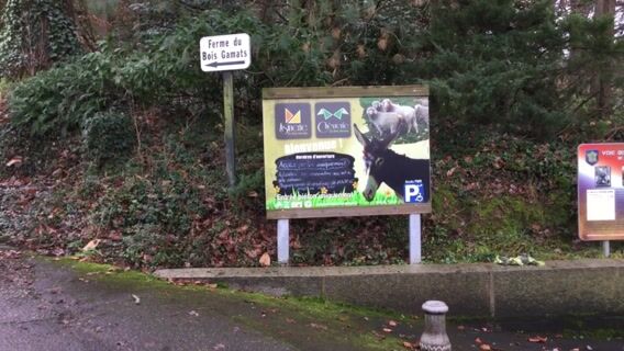 Sur la route du lait