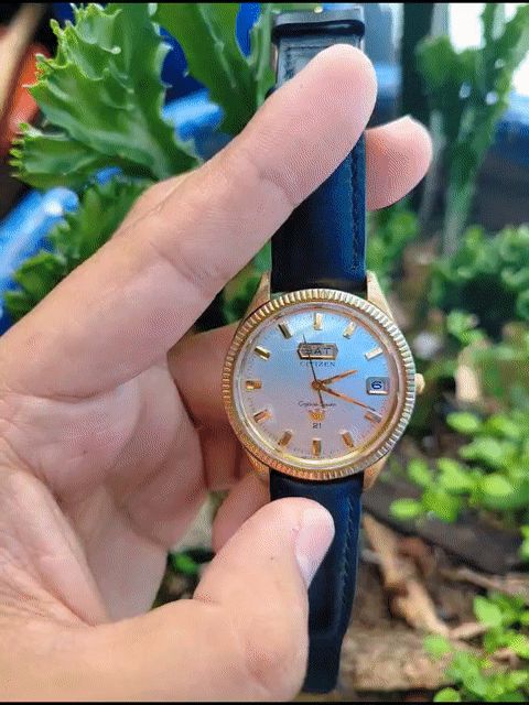 Đồng hồ Citizen Crystal Seven Nam Vàng. Mua bán Đồng hồ tại Thành phố Châu Đốc An Giang được đăng bởi Lê Tiến hình 1
